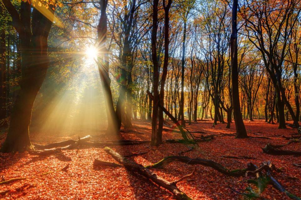 Enjoy Nature, Nice Stay And Beautiful Surroundings Putten Esterno foto